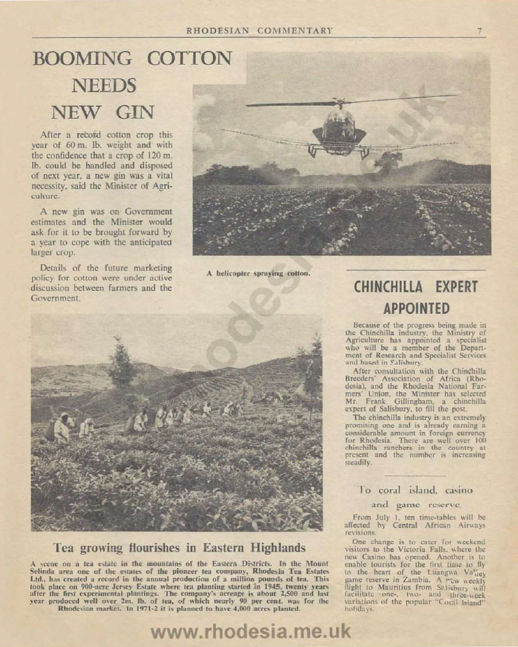 Rhodesian Violet Chinchilla Expert Ian Smith Frank Gillingham Appointed